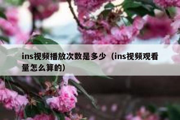 ins视频播放次数是多少（ins视频观看量怎么算的） 第1张