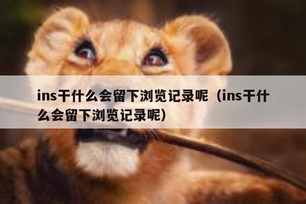 ins干什么会留下浏览记录呢(ins干什么会留下浏览记录呢) 第1张 ins干什么会留下浏览记录呢(ins干什么会留下浏览记录呢) 第1张