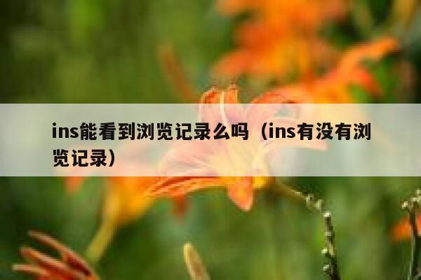ins能看到浏览记录么吗（ins有没有浏览记录） 第1张