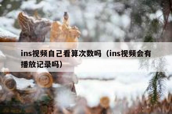 ins视频自己看算次数吗(ins视频会有播放记录吗) 第1张 ins视频自己看算次数吗(ins视频会有播放记录吗) 第1张