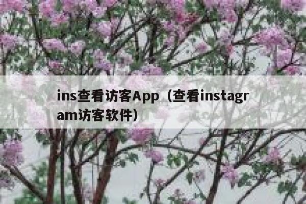 ins查看访客App(查看instagram访客软件) 第1张 ins查看访客App(查看instagram访客软件) 第1张