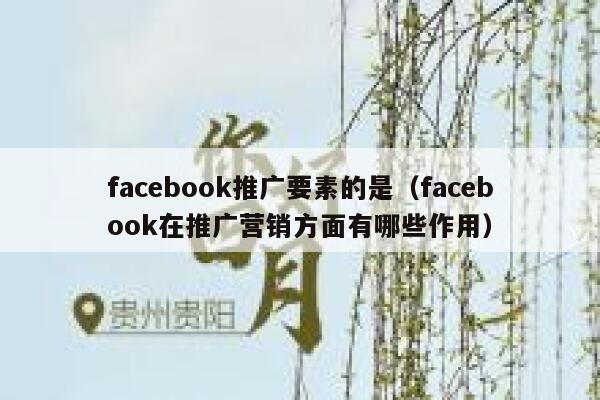 facebook推广要素的是（facebook在推广营销方面有哪些作用） 第1张