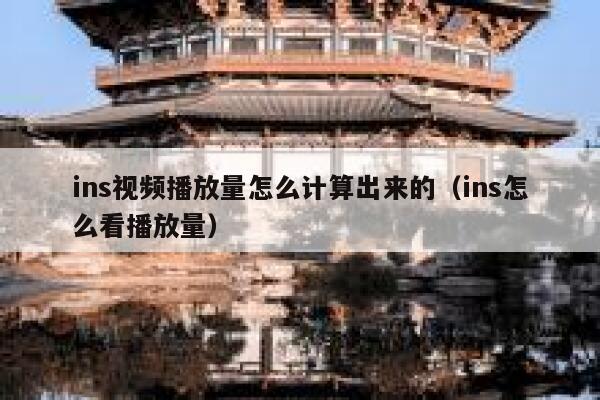 ins视频播放量怎么计算出来的(ins怎么看播放量) 第1张 ins视频播放量怎么计算出来的(ins怎么看播放量) 第1张