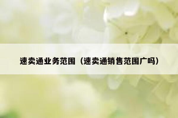 速卖通业务范围（速卖通销售范围广吗） 第1张