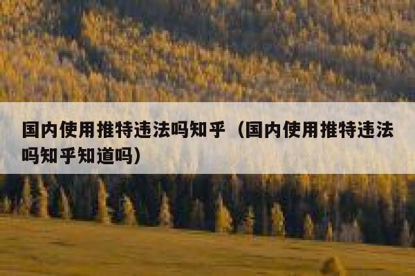 国内使用推特违法吗知乎（国内使用推特违法吗知乎知道吗） 第1张