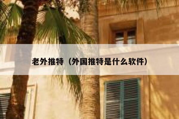 老外推特(外国推特是什么软件) 第1张 老外推特(外国推特是什么软件) 第1张