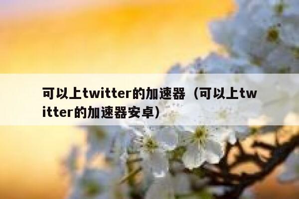 可以上twitter的加速器（可以上twitter的加速器安卓） 第1张