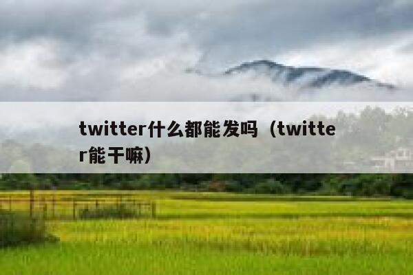 twitter什么都能发吗（twitter能干嘛） 第1张