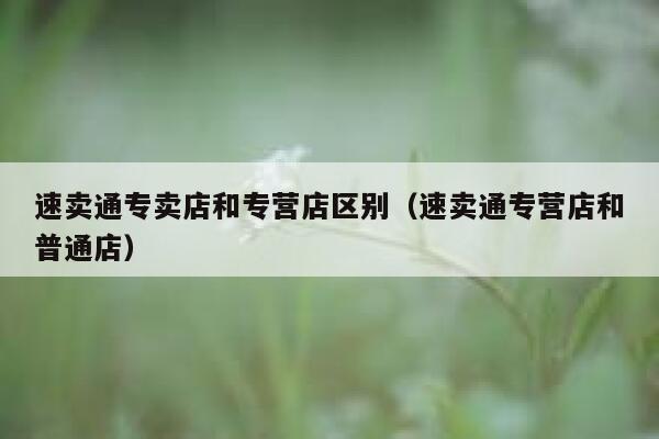 速卖通专卖店和专营店区别（速卖通专营店和普通店） 第1张