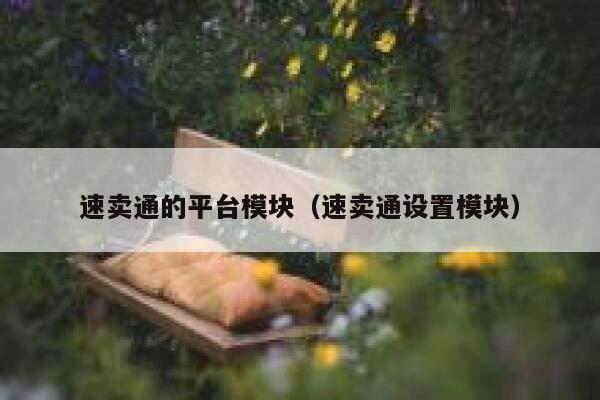 速卖通的平台模块（速卖通设置模块） 第1张