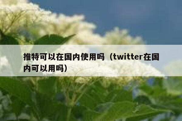 推特可以在国内使用吗(twitter在国内可以用吗) 第1张 推特可以在国内使用吗(twitter在国内可以用吗) 第1张
