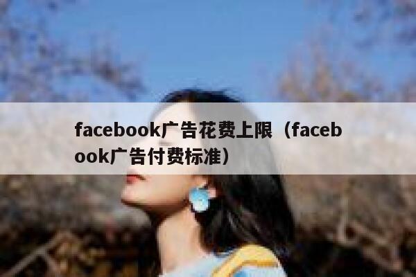 facebook广告花费上限(facebook广告付费标准) 第1张 facebook广告花费上限(facebook广告付费标准) 第1张