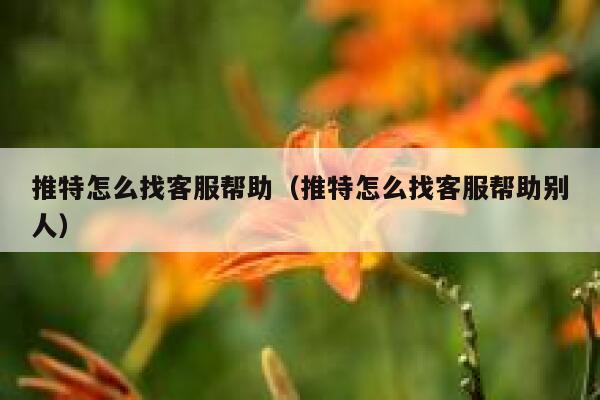 推特怎么找客服帮助（推特怎么找客服帮助别人） 第1张