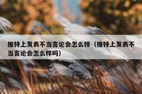 推特上发表不当言论会怎么样(推特上发表不当言论会怎么样吗) 第1张 推特上发表不当言论会怎么样(推特上发表不当言论会怎么样吗) 第1张