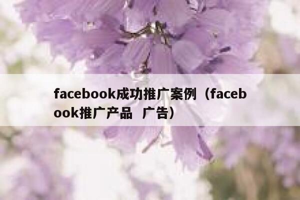 facebook成功推广案例（facebook推广产品  广告） 第1张