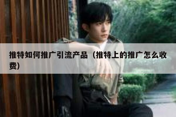 推特如何推广引流产品(推特上的推广怎么收费) 第1张 推特如何推广引流产品(推特上的推广怎么收费) 第1张