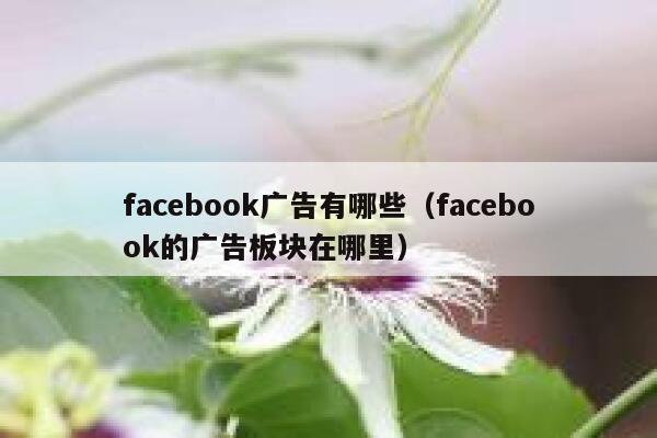 facebook广告有哪些(facebook的广告板块在哪里) 第1张 facebook广告有哪些(facebook的广告板块在哪里) 第1张