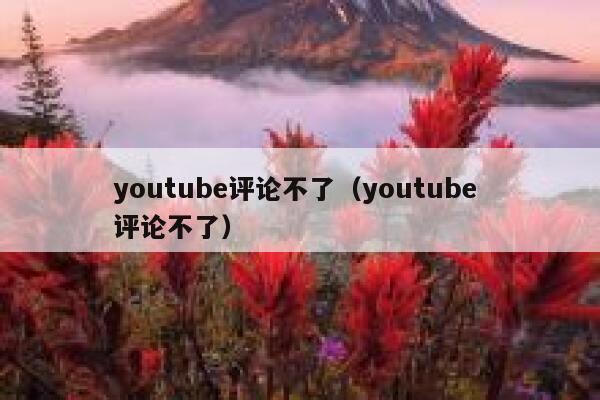 youtube评论不了(youtube 评论不了) 第1张 youtube评论不了(youtube 评论不了) 第1张