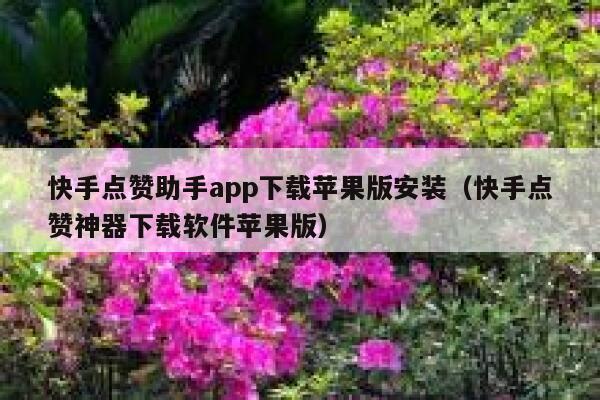 快手点赞助手app下载苹果版安装（快手点赞神器下载软件苹果版） 第1张