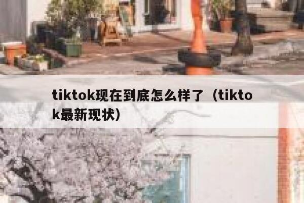tiktok现在到底怎么样了（tiktok最新现状） 第1张