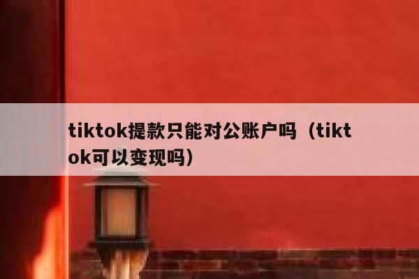 tiktok提款只能对公账户吗（tiktok可以变现吗） 第1张