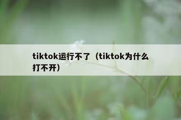 tiktok运行不了（tiktok为什么打不开） 第1张