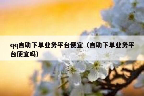 qq自助下单业务平台便宜（自助下单业务平台便宜吗） 第1张