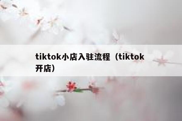 tiktok小店入驻流程(tiktok 开店) 第1张 tiktok小店入驻流程(tiktok 开店) 第1张