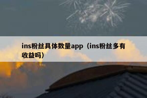 ins粉丝具体数量app（ins粉丝多有收益吗） 第1张