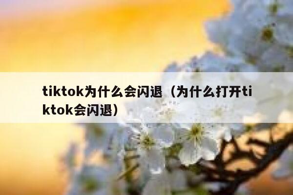 tiktok为什么会闪退（为什么打开tiktok会闪退） 第1张