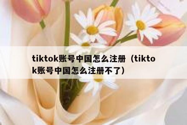 tiktok账号中国怎么注册（tiktok账号中国怎么注册不了） 第1张