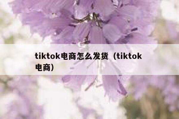 tiktok电商怎么发货（tiktok 电商） 第1张