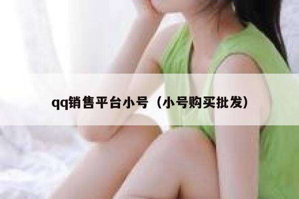 qq销售平台小号（小号购买批发） 第1张