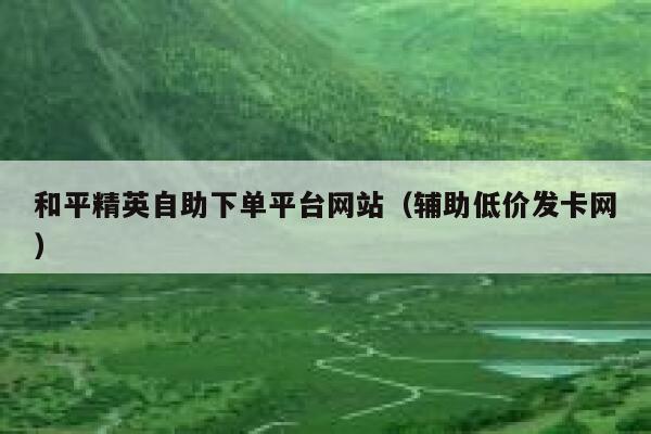 和平精英自助下单平台网站（辅助低价发卡网） 第1张
