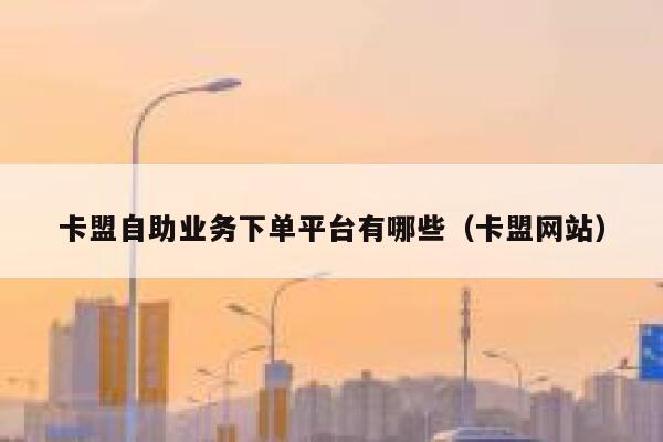 卡盟自助业务下单平台有哪些（卡盟网站） 第1张