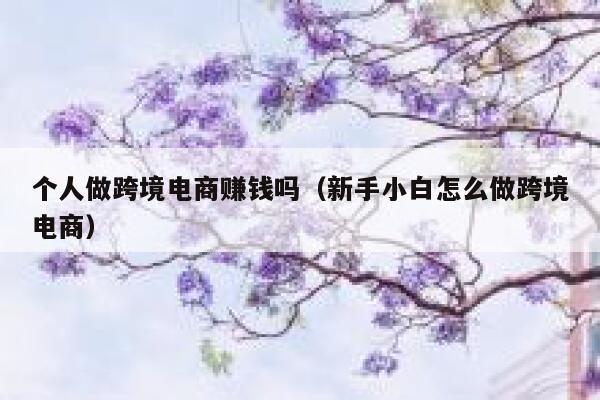 个人做跨境电商赚钱吗（新手小白怎么做跨境电商） 第1张