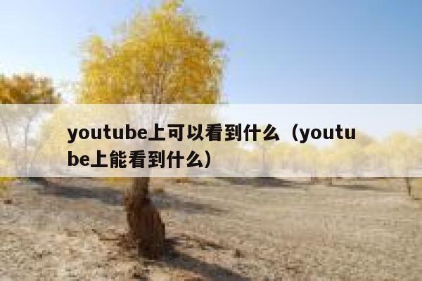 youtube上可以看到什么(youtube上能看到什么) 第1张 youtube上可以看到什么(youtube上能看到什么) 第1张