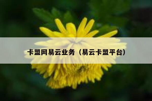 卡盟网易云业务（易云卡盟平台） 第1张
