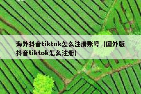 海外抖音tiktok怎么注册账号(国外版抖音tiktok怎么注册) 第1张 海外抖音tiktok怎么注册账号(国外版抖音tiktok怎么注册) 第1张