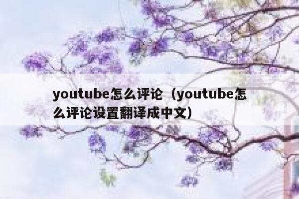youtube怎么评论（youtube怎么评论设置翻译成中文） 第1张