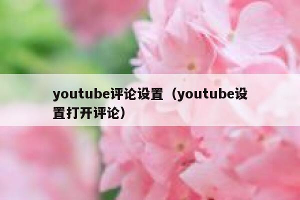 youtube评论设置（youtube设置打开评论） 第1张