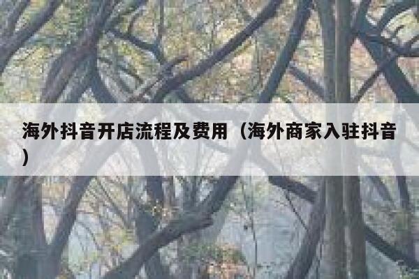海外抖音开店流程及费用（海外商家入驻抖音） 第1张