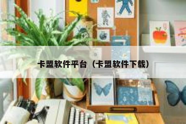 卡盟软件平台(卡盟软件下载) 第1张 卡盟软件平台(卡盟软件下载) 第1张