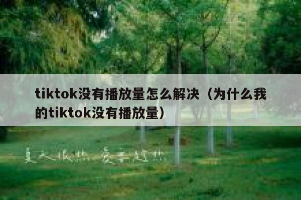 tiktok没有播放量怎么解决（为什么我的tiktok没有播放量） 第1张