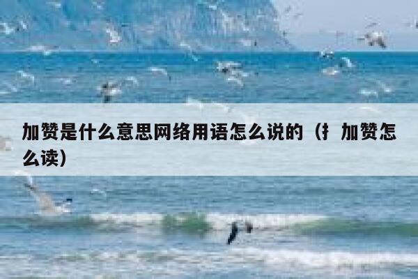 加赞是什么意思网络用语怎么说的（扌加赞怎么读） 第1张