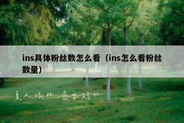 ins具体粉丝数怎么看（ins怎么看粉丝数量） 第1张