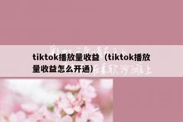 tiktok播放量收益(tiktok播放量收益怎么开通) 第1张 tiktok播放量收益(tiktok播放量收益怎么开通) 第1张