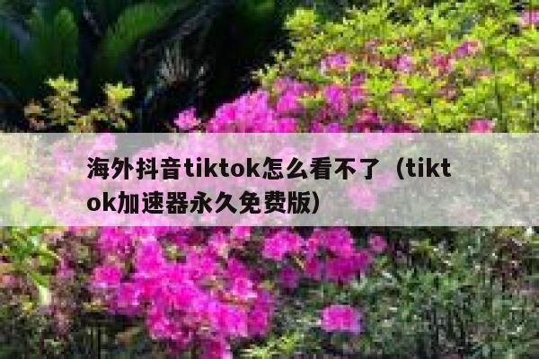 海外抖音tiktok怎么看不了（tiktok加速器永久免费版） 第1张