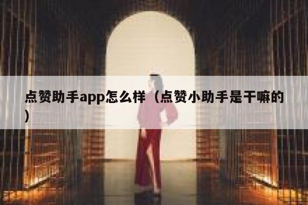点赞助手app怎么样（点赞小助手是干嘛的） 第1张