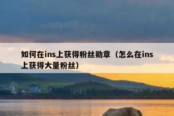 如何在ins上获得粉丝勋章（怎么在ins上获得大量粉丝） 第1张